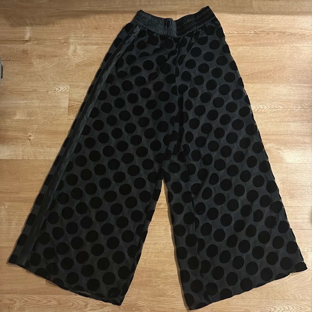 Sheer Victoria’s Secret Polka Dot Pants